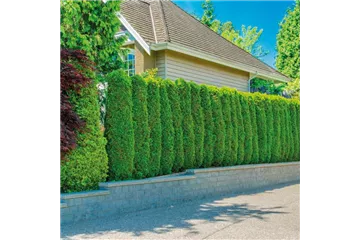 SCHICKE HECKE! SCHICKE HECKE!