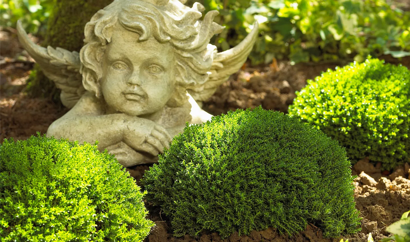 Orte blühender Erinnerung - GRABPFLEGE VON KLIPPHAHN