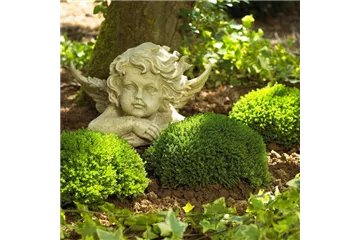 GRABGESTALTUNG! GRABGESTALTUNG!