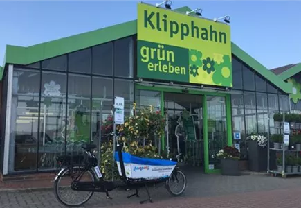 Lastenfahrrad Hannah