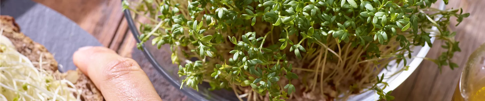 Grüner Daumen trifft Gartenjahr