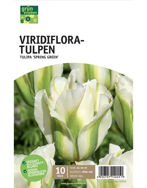Viridiflora-Tulpen