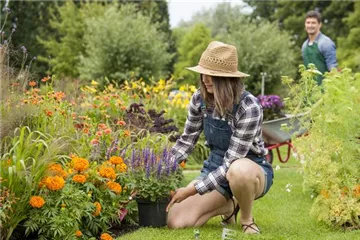 PFLANZENSCHUTZ ZUM SOMMERANFANG