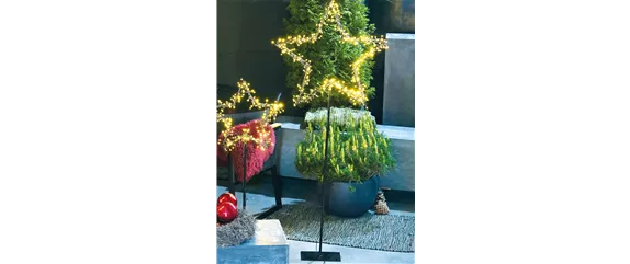 LICHTBLICKE IM WINTER-GARTEN!