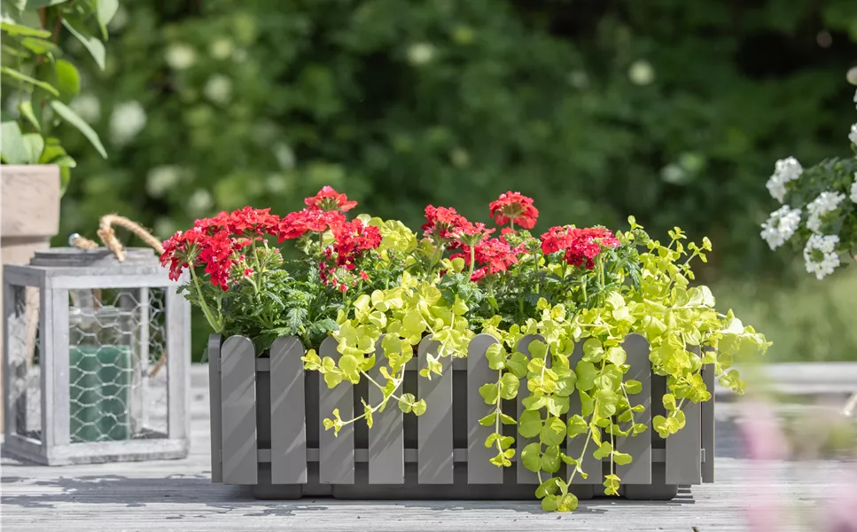 Unsere aktuelle Beilage