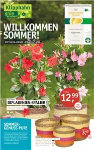 Beilage 5 2026