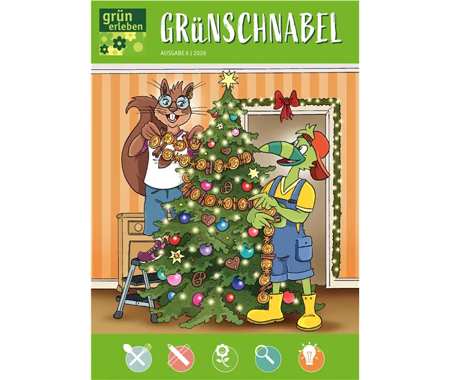 Ausgabe 6 2026