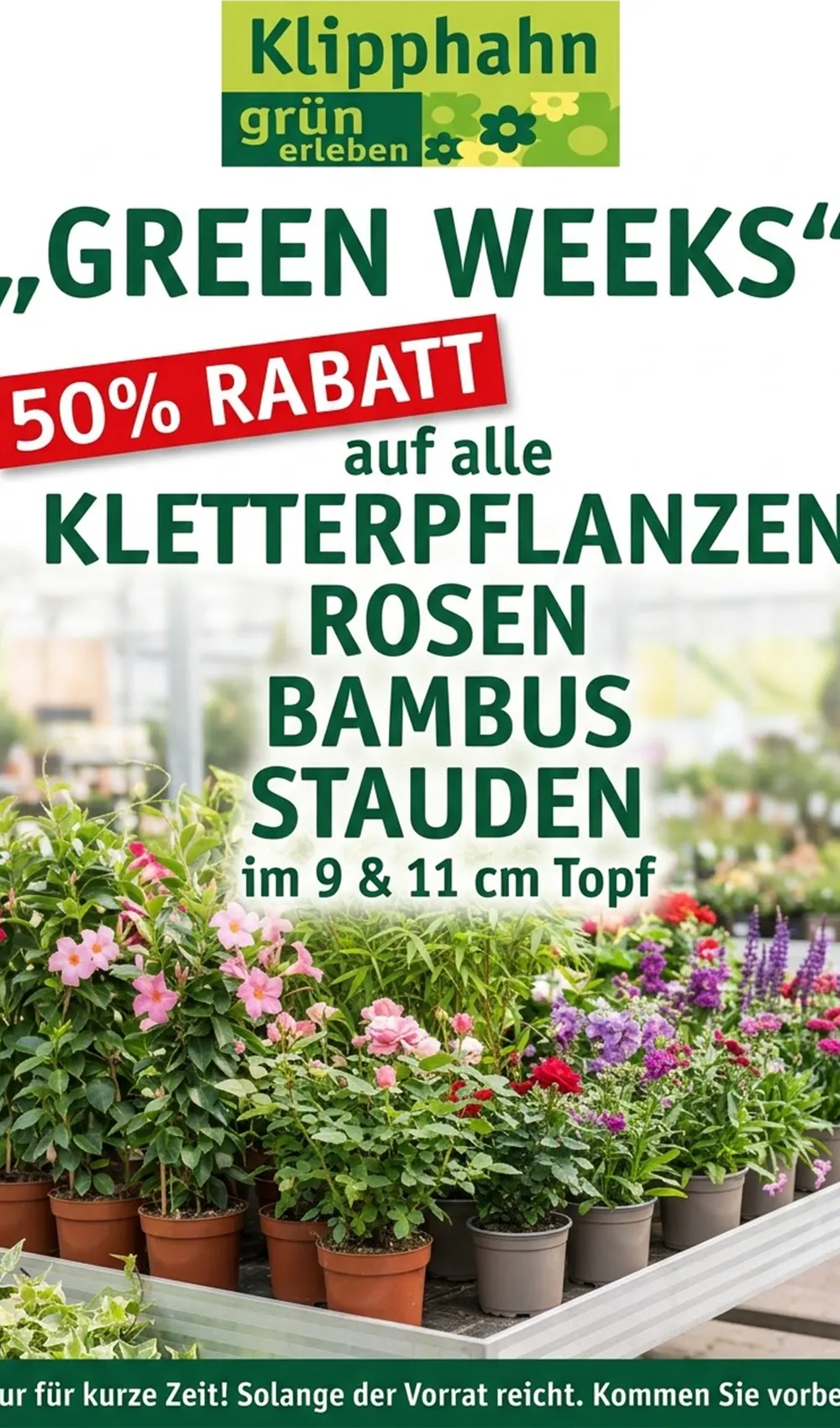 green weeks Rabatt.jfif