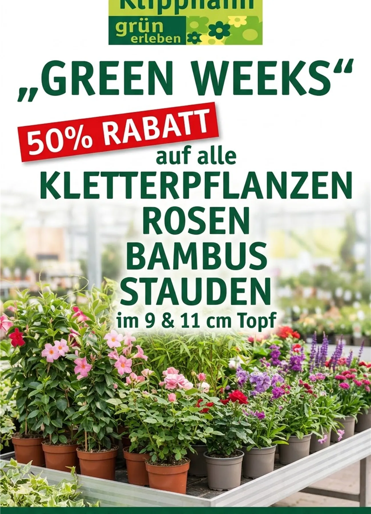 green weeks Rabatt.jfif