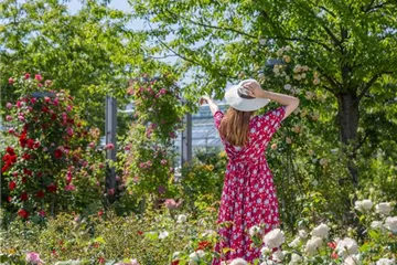 DER ROSENGARTEN - SCHLICHTE ELEGANZ UND TOLLE DüFTE